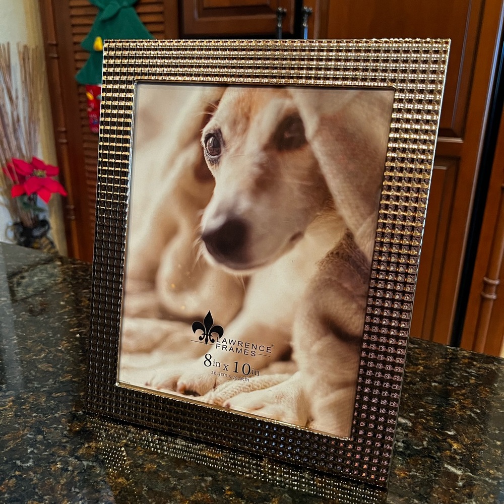 NEW Lawrence Frames Elegant Shiny Gold Metal 8" x 10" Picture Frame